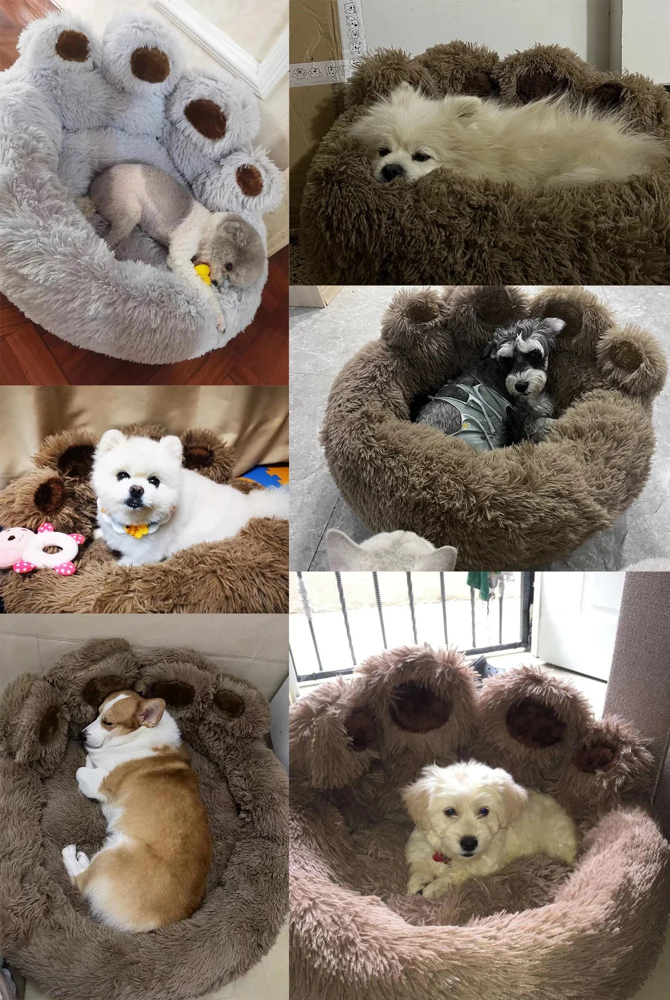 Fluffy pet bed shaped like a paw, featuring various small dogs resting comfortably.