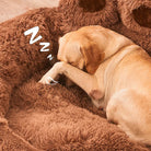 Sleeping Labrador in fluffy brown dog bed, cozy pet furniture, comfortable canine resting spot.