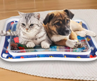 Cat and dog lounging on colorful water mat, wooden floor background. Pet cooling mat, summer pet accessory, indoor pet relaxation.