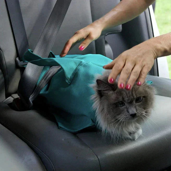 Cat secured in teal pet carrier on car seat, hands adjusting, travel safety, pet transport accessory.