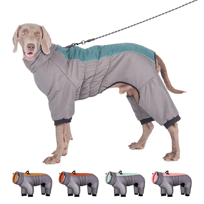 Dog wearing a gray waterproof winter coat with leash, featuring full-body coverage. Includes four color options: orange, red, green, and pink.