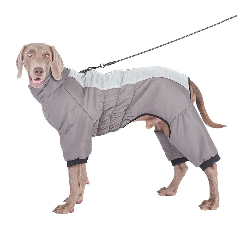 Dog wearing a gray waterproof winter coat with leash attachment, designed for cold weather protection. Pet apparel, dog clothing, winter dog jacket.