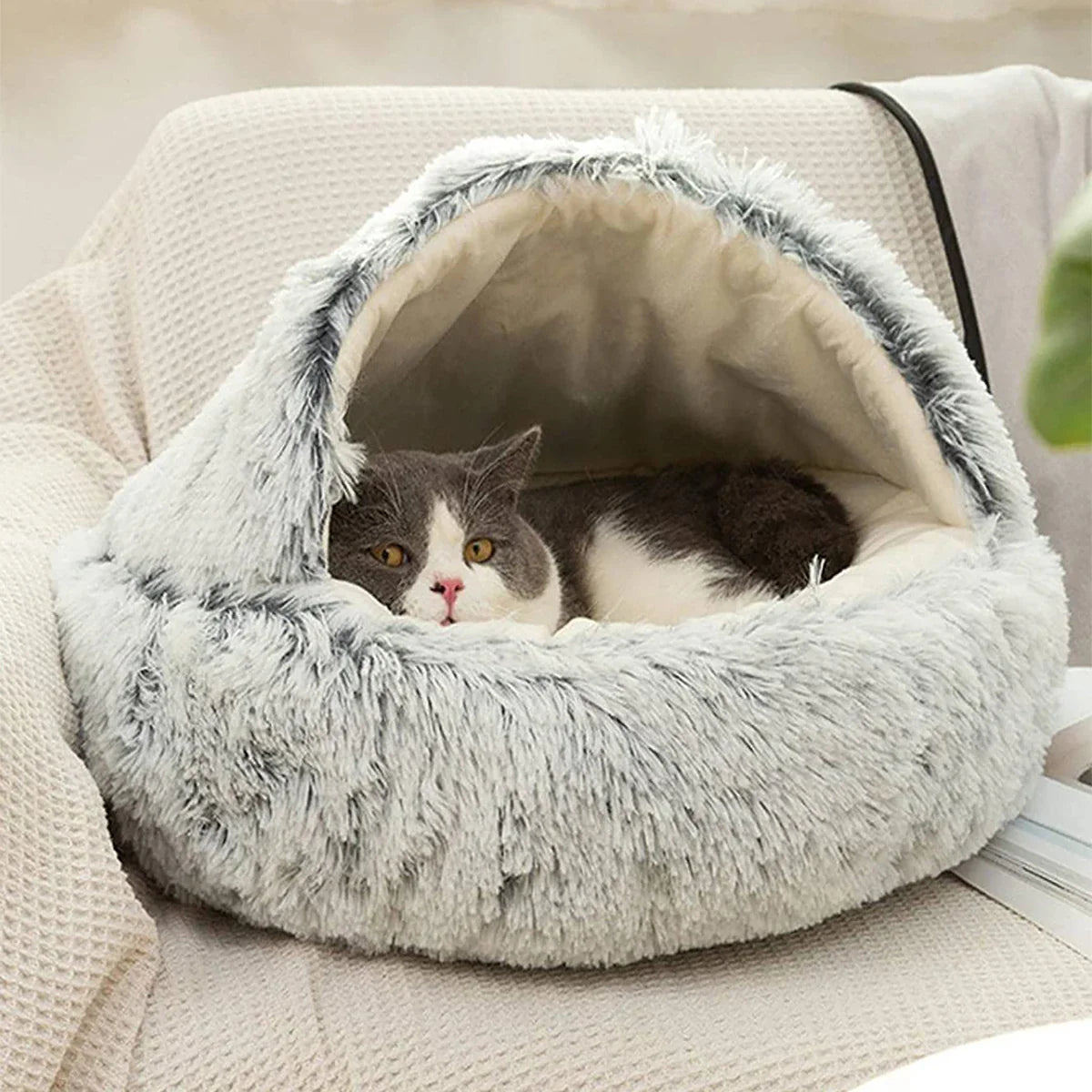 Gray plush cat bed with cozy cave design, featuring a relaxed cat inside, perfect for pet comfort.