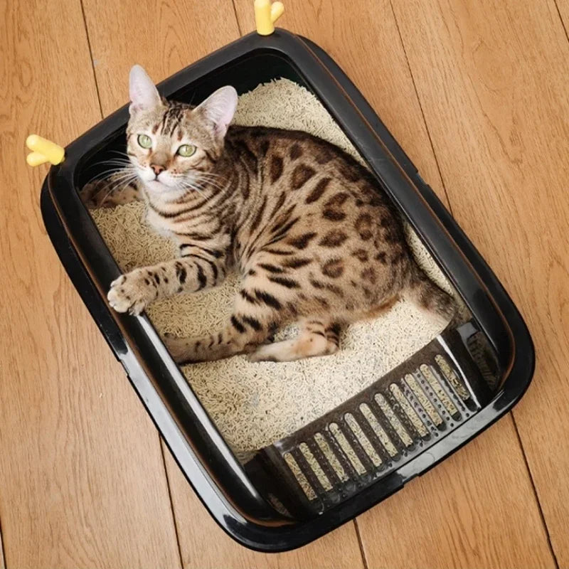 Bengal cat lounging in black litter box on wooden floor, showcasing spotted fur pattern.