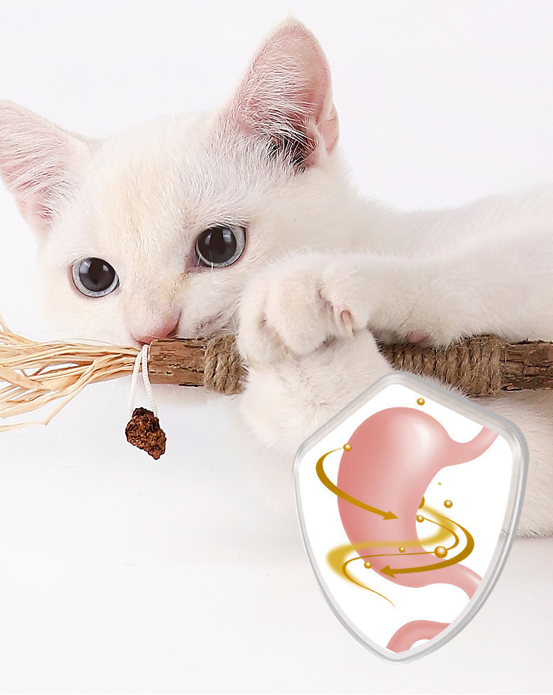 White kitten playing with a stick, digestive health symbol overlay. Cute cat, pet care, feline wellness, healthy digestion, playful kitten image.