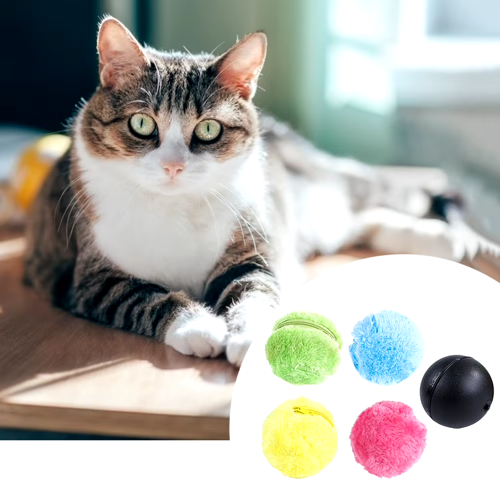 Tabby cat lounging on a wooden table with colorful plush balls and a black rubber ball, pet toys, indoor cat play, feline relaxation.