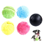 Colorful plush dog toy balls in green, blue, yellow, pink, and a black rubber ball. Includes a happy dog with a green ball. Perfect for pet play.