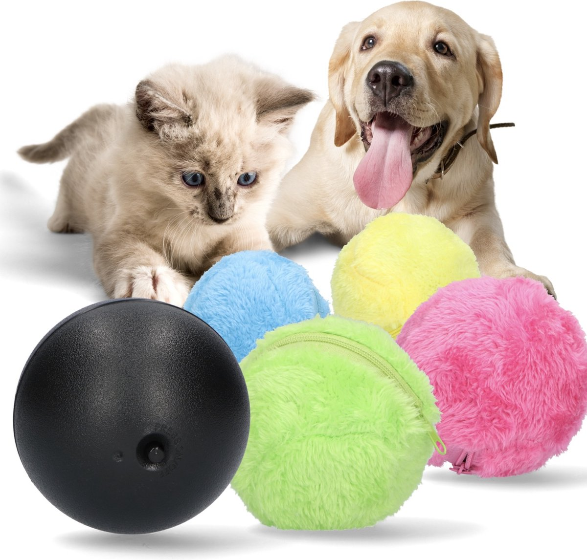 Kitten and puppy playing with colorful plush balls and a black interactive toy. Pet toys, playful pets, kitten and puppy interaction.