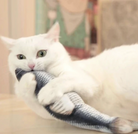 White cat playing with a realistic flopping fish toy filled with catnip, enhancing feline entertainment and interactive playtime.