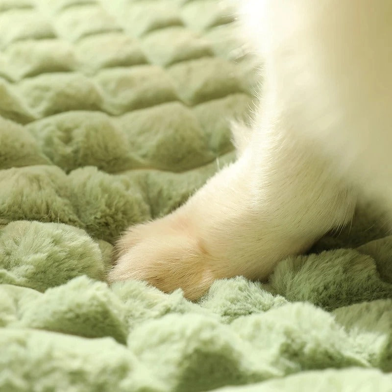 Dog paw on soft, green, plush pet bed. Cozy, comfortable bedding for pets. High-quality, fluffy texture. Ideal for pet comfort and relaxation.