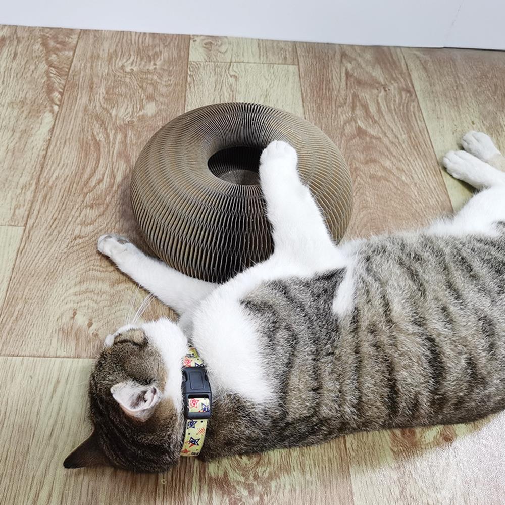 Tabby cat with a colorful collar lying on wooden floor next to a round, textured cardboard cat scratcher. Cozy pet scene, feline relaxation.