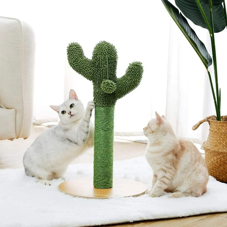 Two cats playing with a cactus-shaped scratching post in a bright living room, featuring a cozy white rug and a large potted plant.