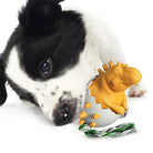 Black and white dog playing with a yellow dinosaur chew toy. Durable pet toy for aggressive chewers. Fun dog toy for interactive play.