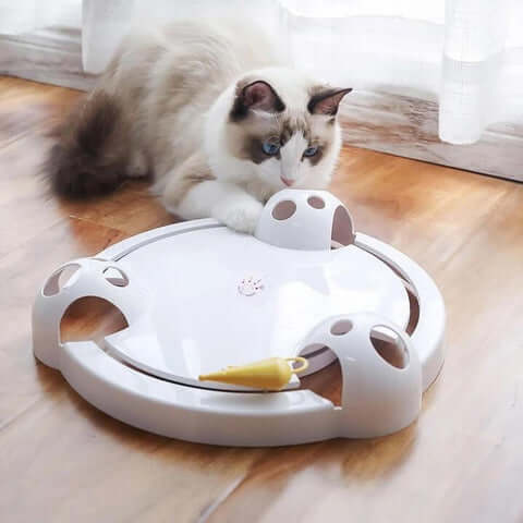 Cat playing with interactive circular toy on wooden floor, featuring a rotating mouse and multiple holes. Ideal for pet entertainment and exercise.