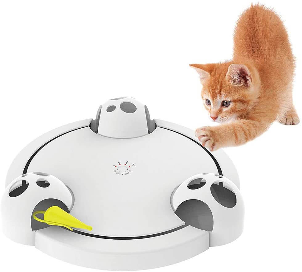 Orange kitten playing with interactive electronic cat toy; white circular design with moving parts. Perfect for pet entertainment and exercise.