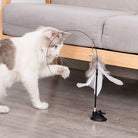 Cat playing with interactive feather toy on suction cup base, ideal for indoor exercise and mental stimulation. Perfect pet accessory for playful cats.