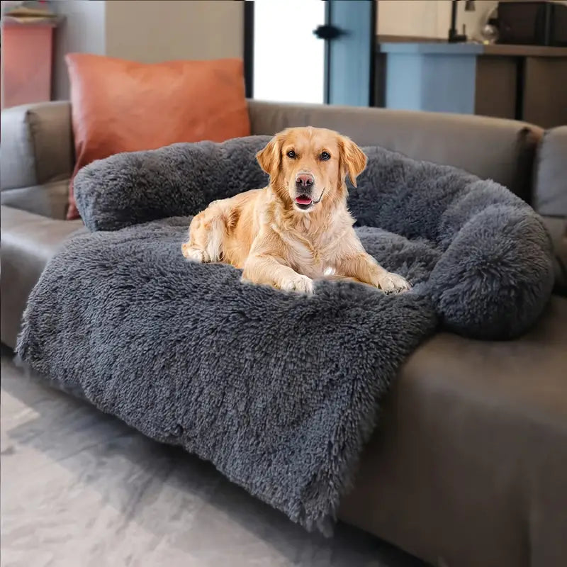 Golden Retriever lounging on a plush, gray, fluffy dog bed atop a modern sofa in a cozy living room setting. Perfect pet furniture for comfort and style.