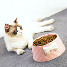 Fluffy white cat near pink ceramic pet bowl filled with dry cat food, featuring a decorative bow. Ideal for pet care, cat nutrition, and feeding accessories.