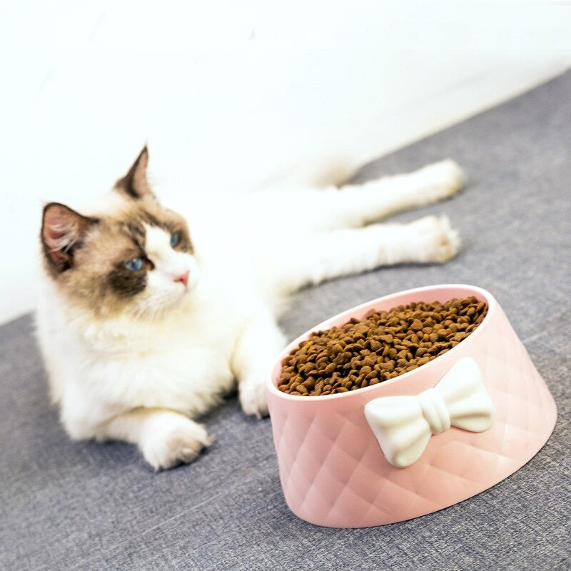 Fluffy white cat near pink ceramic pet bowl filled with dry cat food, featuring a decorative bow. Ideal for pet care, cat nutrition, and feeding accessories.