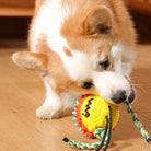 Corgi playing with a yellow spiky chew toy on a wooden floor. Dog toy with rope, perfect for pet dental health and interactive play.