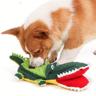 Corgi dog playing with a green crocodile plush toy, showcasing pet playtime, durable dog toys, and interactive pet accessories.