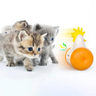 Cute kittens curiously approach a colorful, interactive chicken toy with a bright orange base, perfect for pet playtime and entertainment.