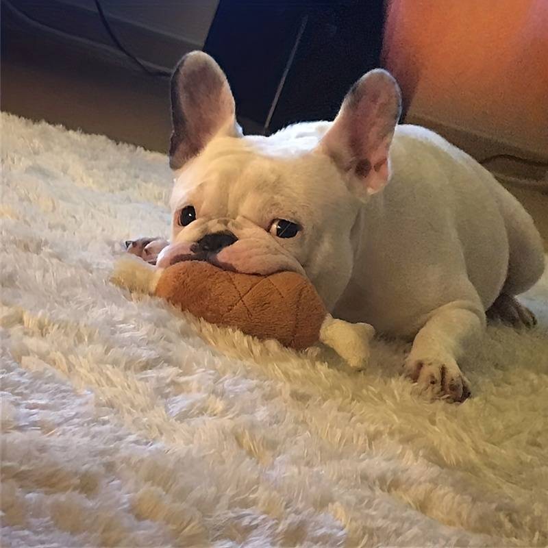 French Bulldog playing with a plush toy on a fluffy white rug, showcasing cute pet behavior. Perfect for dog lovers and pet accessory enthusiasts.