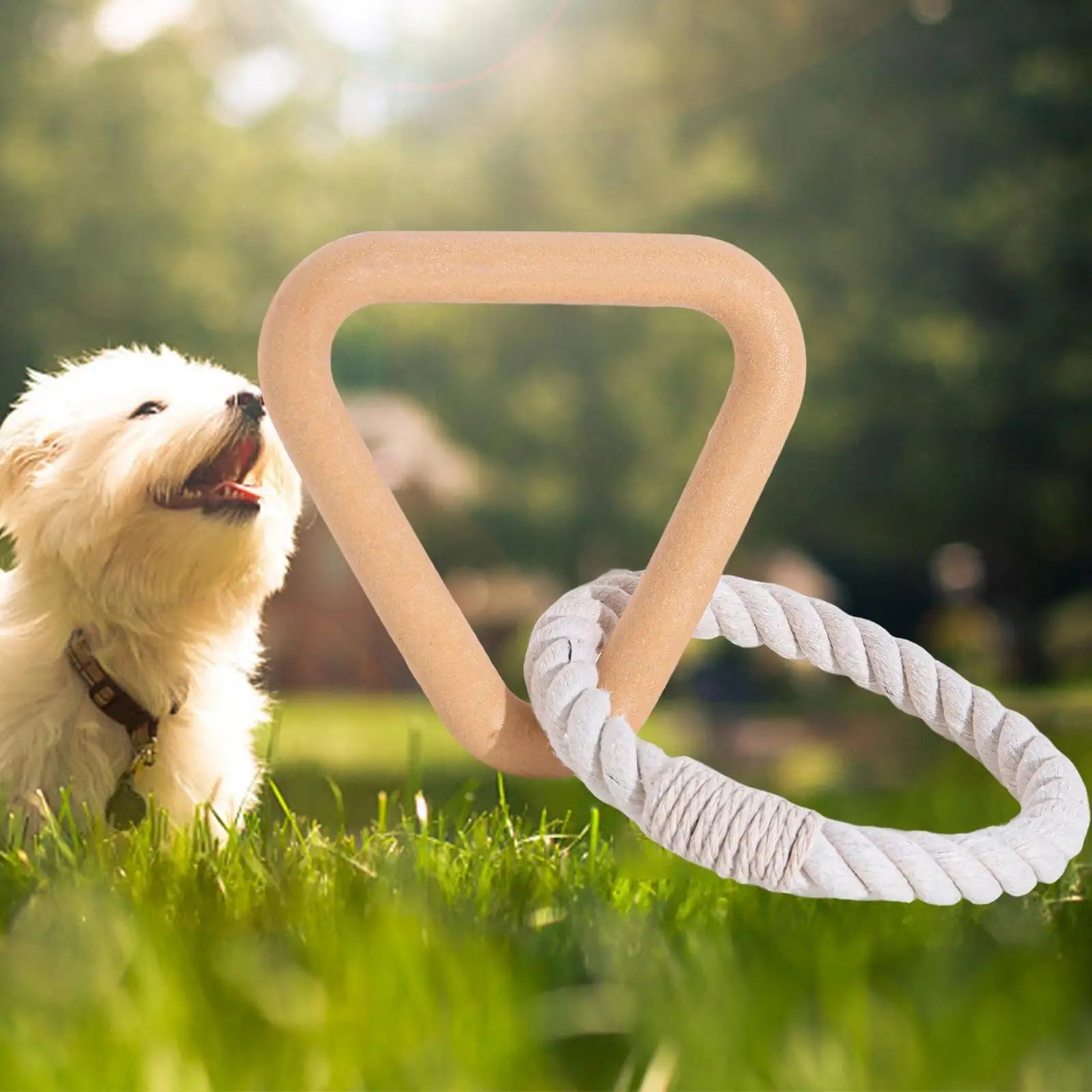 Dog playing with eco-friendly chew toy in grass, featuring a wooden triangle and rope design. Perfect for pet owners seeking sustainable pet products.