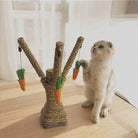 Cat playing with carrot-themed scratching post toy in sunlit room. Interactive pet toy, cat entertainment, indoor play, feline activity center.