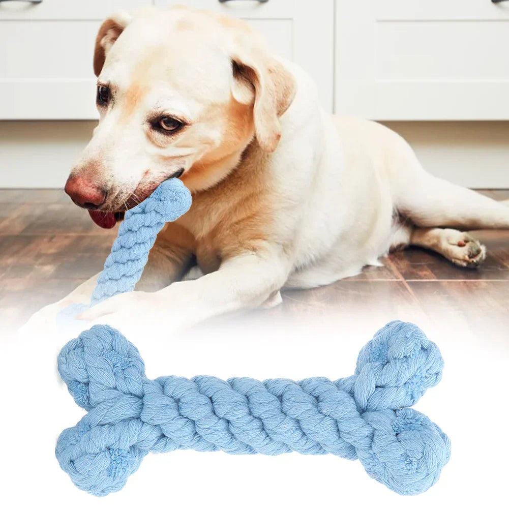 Labrador retriever chewing blue rope bone toy on kitchen floor; durable dog chew toy, pet playtime, interactive pet accessories.