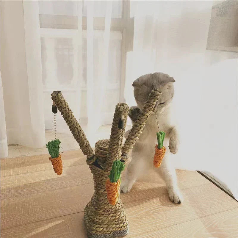 Cute cat playing with carrot-themed scratching post toy in sunlit room. Perfect pet accessory for playful kittens.