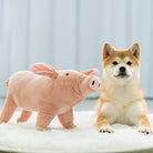 Shiba Inu dog sitting next to a plush pig toy on a fluffy white rug, showcasing cute pet and toy interaction in a cozy home setting.