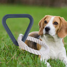 Beagle dog lying on grass with a durable rope toy featuring a triangular handle, perfect for outdoor play and pet exercise.