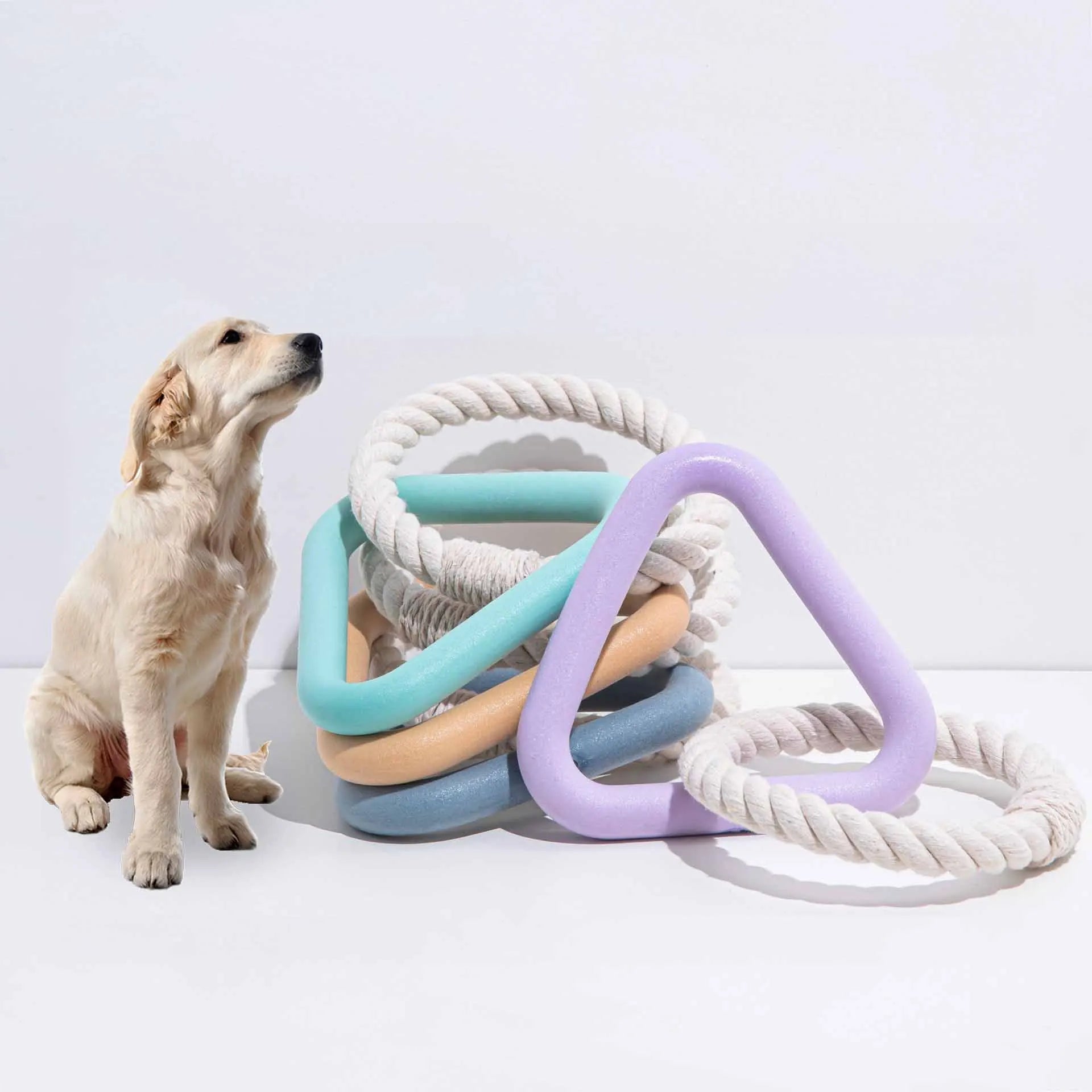 Golden Retriever puppy sitting beside colorful dog chew toys, including rope rings and triangle shapes, on a white background.