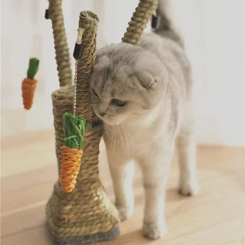 Scottish Fold cat playing with a sisal rope scratching post featuring hanging carrot toys, perfect for pet entertainment and claw maintenance.