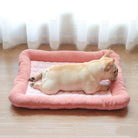 French Bulldog resting on a pink, plush dog bed with a quilted design, placed on a wooden floor near sheer curtains. Cozy pet bedding.