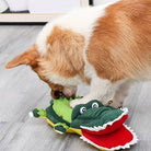 Corgi playing with a green crocodile plush toy on a wooden floor. Dog chew toy, pet playtime, interactive pet toy, durable plush for dogs.