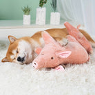 Shiba Inu sleeping on fluffy white rug with pink pig plush toy, cozy home decor, cute dog, pet relaxation, adorable animal photography.