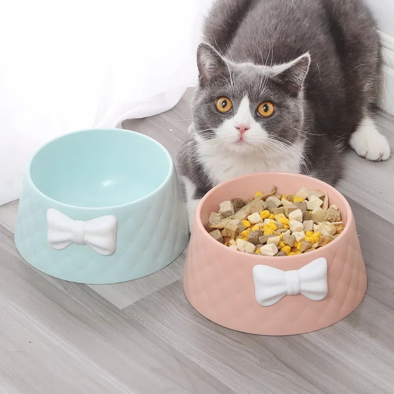 Gray cat with wide eyes sits beside two pastel-colored pet bowls, one filled with dry cat food. Perfect for pet care, cat feeding essentials.