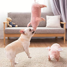 French Bulldog playing with plush pig toy in cozy living room. Cute dog interaction, pet-friendly home decor, playful canine, stuffed animal fun.