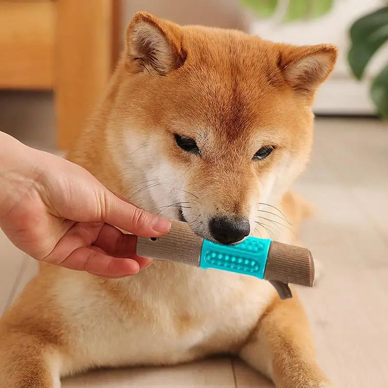 Shiba Inu dog chewing on a blue and brown interactive toy, promoting pet dental health. Perfect for playful, energetic dogs. Pet care essentials.