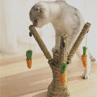 Cat playing with a carrot-themed scratching post toy, featuring three sisal-wrapped branches and hanging carrot toys, on a sunlit wooden floor.