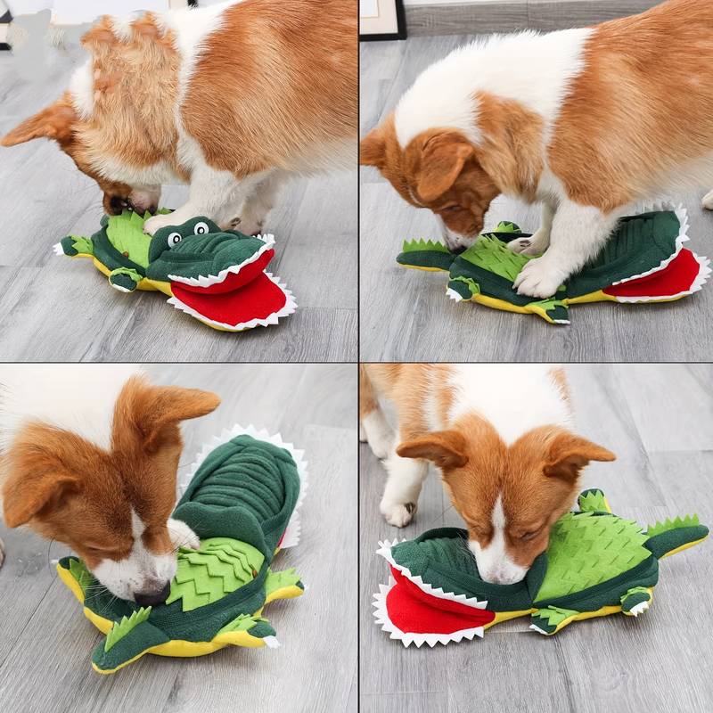 Corgi playing with a green crocodile plush toy on a wooden floor. Dog chew toy, interactive pet play, durable stuffed animal for dogs.