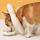 Corgi wearing a sunflower-shaped pet recovery collar while eating from a bowl. Dog cone, pet care, recovery collar for dogs, cute pet accessory.