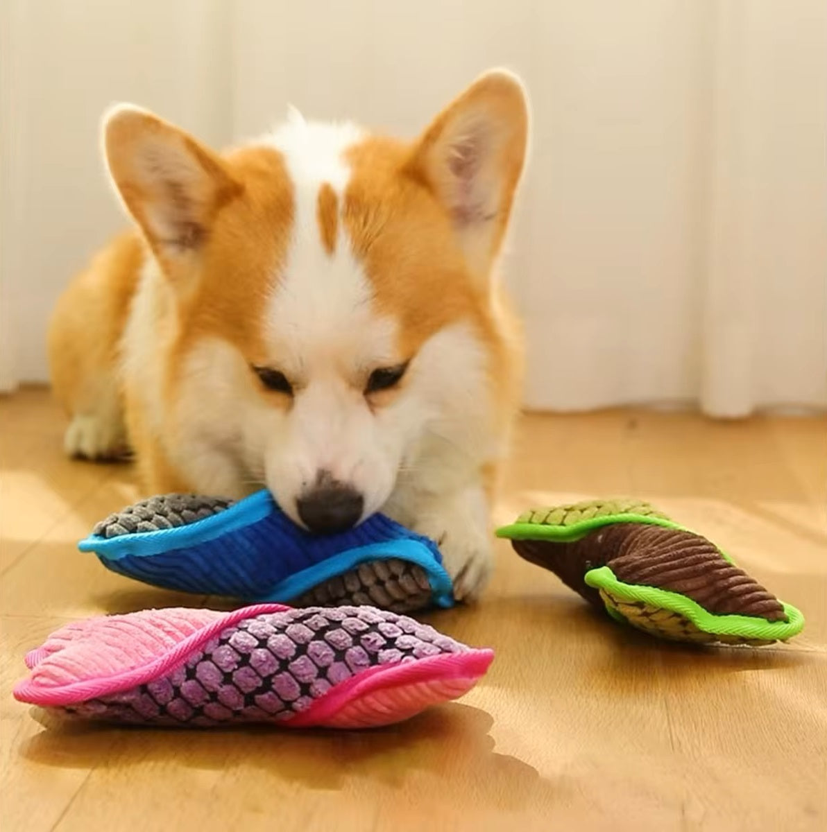 Corgi playing with colorful plush dog toys on wooden floor, featuring pink, blue, and green hues. Perfect pet accessories for playful puppies.