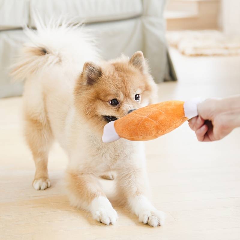 Pomeranian puppy playing with a plush turkey leg toy indoors, showcasing cute dog behavior and pet accessories.