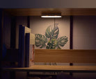 Modern wooden bookshelf with LED light, featuring books and a tropical leaf art print. Perfect for home decor, interior design, and stylish storage.