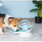 Corgi drinking from a modern pet water dispenser with a transparent globe design, set on a marble floor with a potted plant in the background.