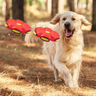 Golden Retriever playing with red flower-shaped frisbee in forest. Dog toy, outdoor pet activity, playful canine, autumn woods.