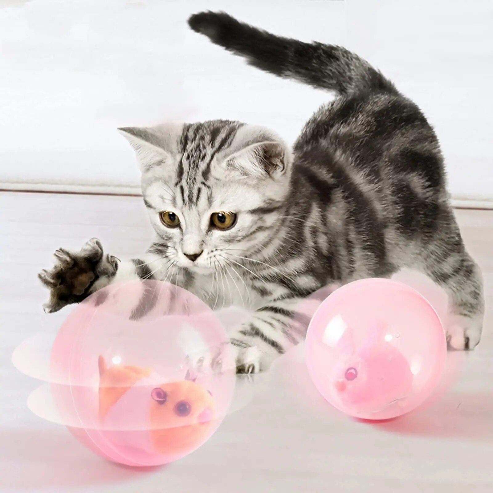 Kitten playing with pink interactive toy balls, featuring a moving mouse inside. Perfect pet toy for engaging and entertaining cats.